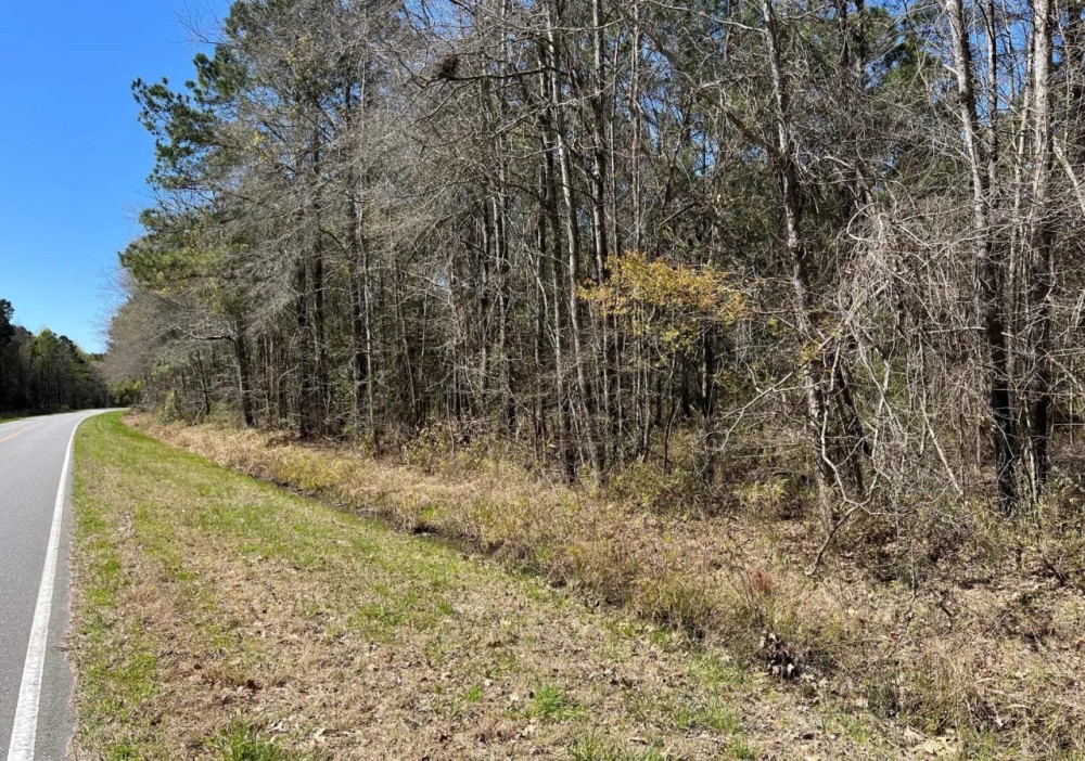 Rural Recreational Investment Property featured image