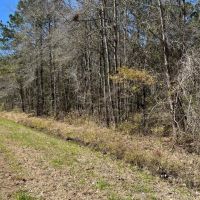 Rural Recreational Investment Property