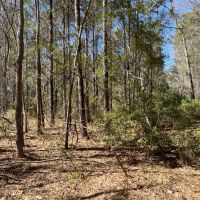 Rural Recreational Investment Property images 2
