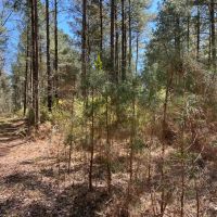Rural Recreational Investment Property images 4