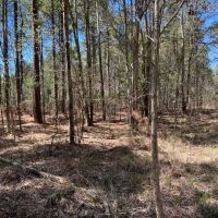 Rural Recreational Investment Property images 5