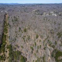 115.362 acres of Recreational and Hunting Land For Sale in Henry County VA images 2