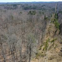 115.362 acres of Recreational and Hunting Land For Sale in Henry County VA images 3
