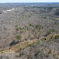 115.362 acres of Recreational and Hunting Land For Sale in Henry County VA images 4