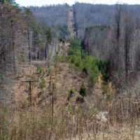 115.362 acres of Recreational and Hunting Land For Sale in Henry County VA images 5