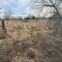 80 Acre Kansas Hunting Tillable Ground for Sale - Bourbon County images 2