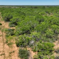 Moore 20 Acres images 4