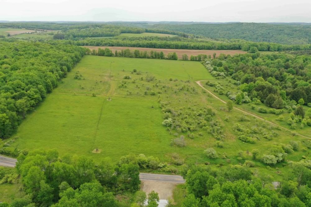85 acres Hunting Land and Recreational Land in Rexville NY Christian Hollow Road featured image