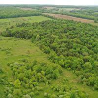 85 acres Hunting Land and Recreational Land in Rexville NY Christian Hollow Road images 2
