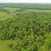 85 acres Hunting Land and Recreational Land in Rexville NY Christian Hollow Road images 3