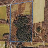 85 acres Hunting Land and Recreational Land in Rexville NY Christian Hollow Road images 4