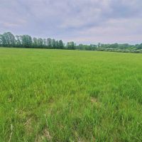 85 acres Hunting Land and Recreational Land in Rexville NY Christian Hollow Road images 5