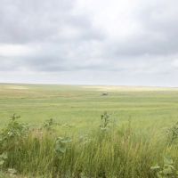 Aregood Family Ranch images 3