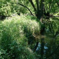 15 - Acre Building Site with Tree Covered Rec Land images 4
