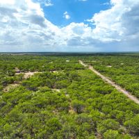 Jourdanton 12 Acres images 3
