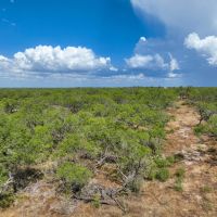 Jourdanton 12 Acres images 5