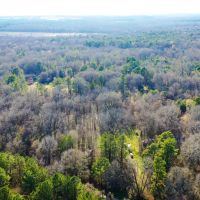 Hunting Recreational Land For Sale Clarksville TX images 2
