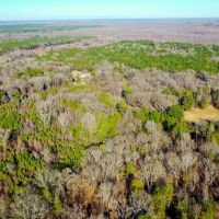 Hunting Recreational Land For Sale Clarksville TX images 3