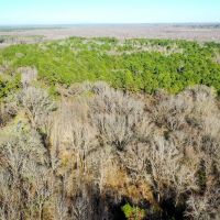 Hunting Recreational Land For Sale Clarksville TX images 4