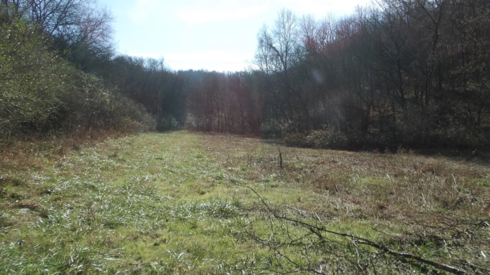 Baugh Hollow Rd Lot 6 featured image