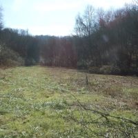 Baugh Hollow Rd Lot 6