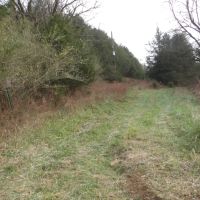 Baugh Hollow Rd Lot 6 images 2