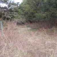 Baugh Hollow Rd Lot 6 images 3