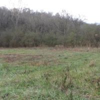 Baugh Hollow Rd Lot 6 images 4