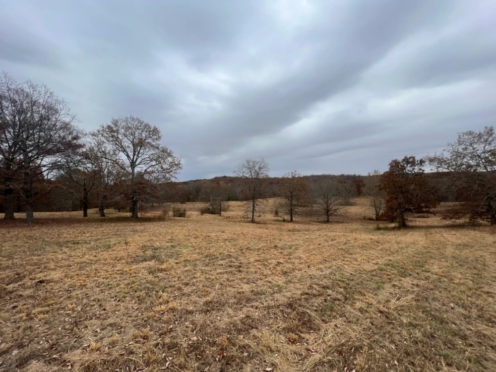 60 - Acres 20 min from Florence featured image