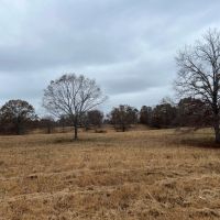 60 - Acres 20 min from Florence images 5