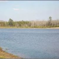 180 Acres with a Home in Scott County at 11281 Hwy 21 in Forest MS images 5