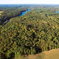 000 Parrish Ridge Lane Goreville IL 62939 images 3
