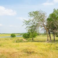 50 Acres in Milam COunty images 2