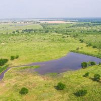 50 Acres in Milam COunty images 3