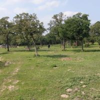 48 Acres Mixed Use along FM 535 images 3