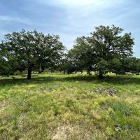 New Listing 5 - Acres Eastland County images 5