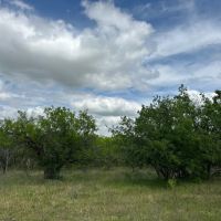 New Listing 20 Acres Tract 15 Shackelford County images 2