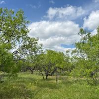 New Listing 20 Acres Tract 15 Shackelford County images 4