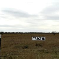 New Listing 20 Acres Tract 15 Shackelford County images 5