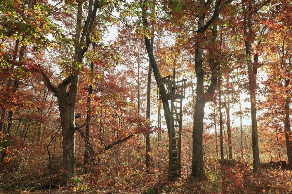115.93 Acres in Soddy Daisy TN in Hamilton County featured image