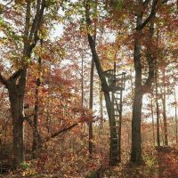 115.93 Acres in Soddy Daisy TN in Hamilton County