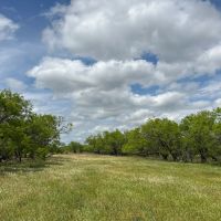 New Listing 20 Acres Tract 16 Shackelford County images 3