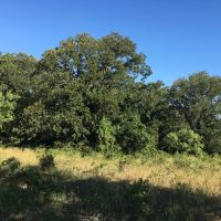 Back on Market 27 - Acres South Brown County images 3