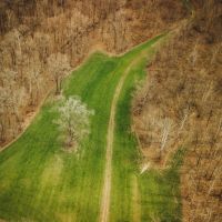 One Equity Share at Willow Brake in Warren and Issaquena County MS images 3