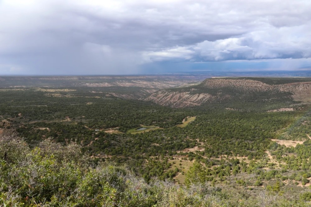 Rooker Ranch featured image