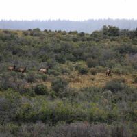 Rooker Ranch images 2