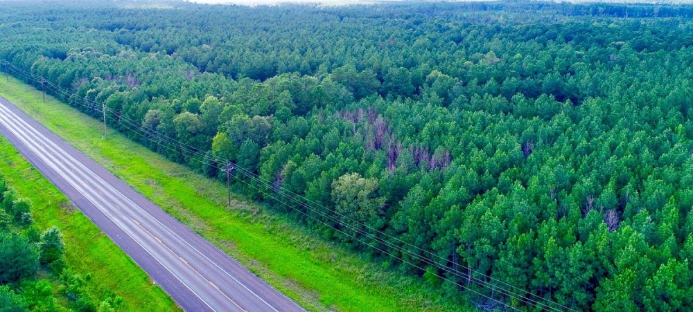 12.5 Acres US Highway 287 5A featured image