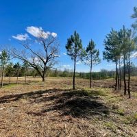 Coleta Valley Tract - 25 - acres images 2