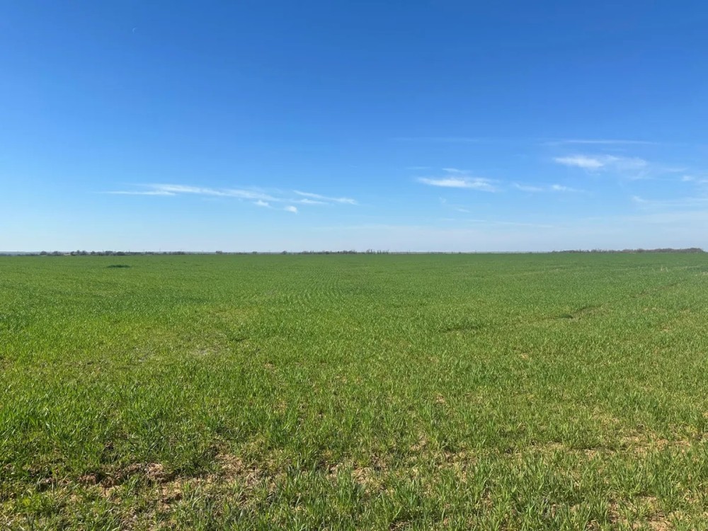 Farm For Sale 160 Acres Grandfield Oklahoma Tillman County featured image