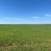 Farm For Sale 160 Acres Grandfield Oklahoma Tillman County images 1